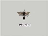 藏品(赭褐凹背蜾蠃)的圖片